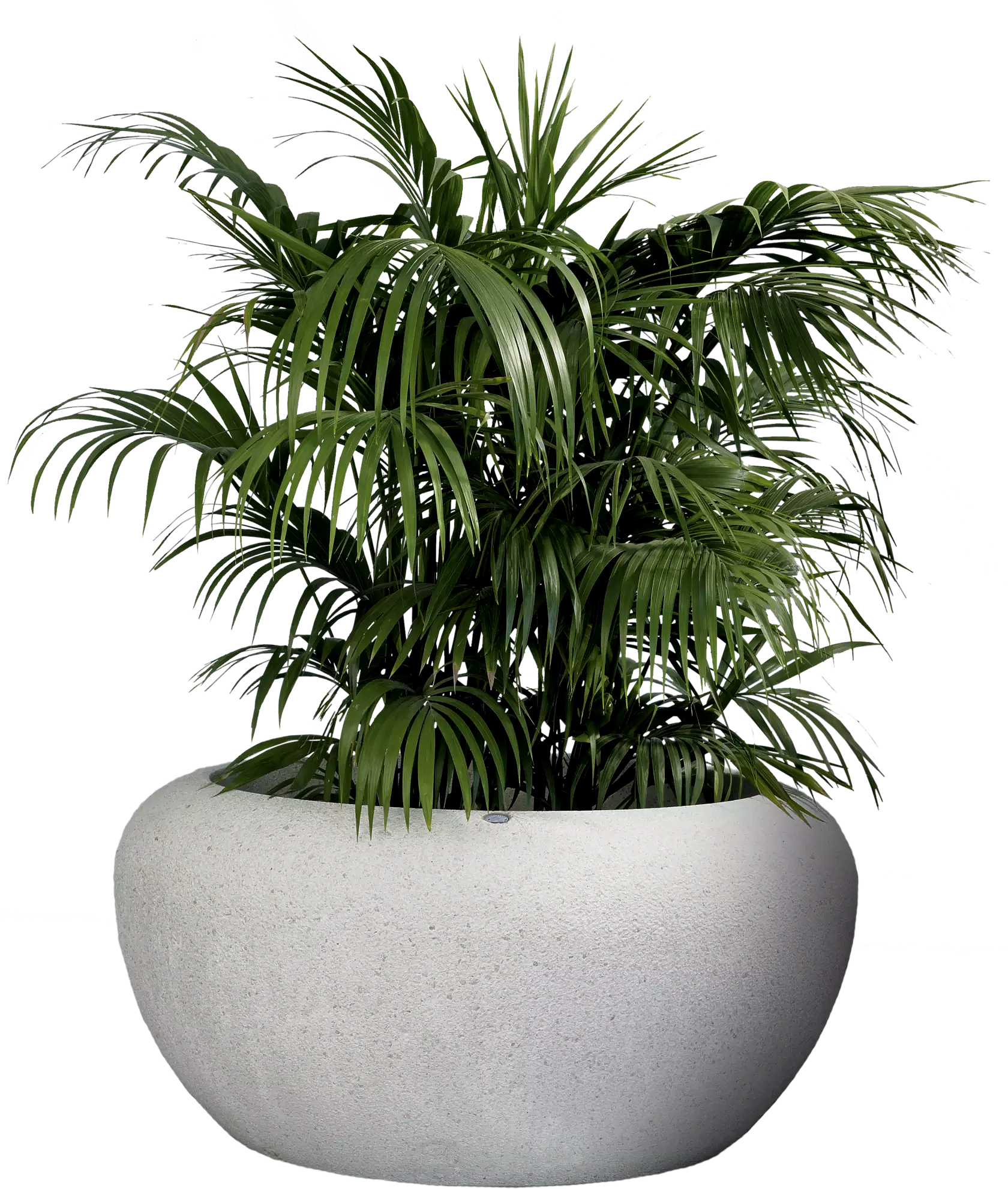 Vorschau: Pflanzbehälter GIOVE Vorschau: Pflanzbehälter GIOVE